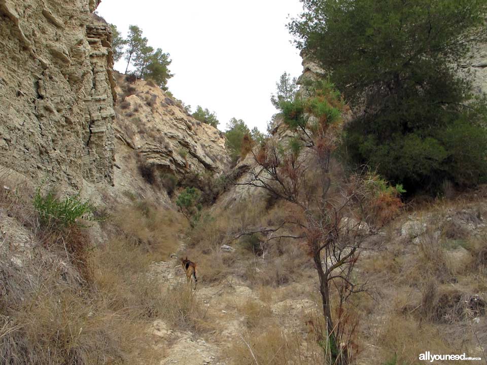 Barranco del Infierno Route