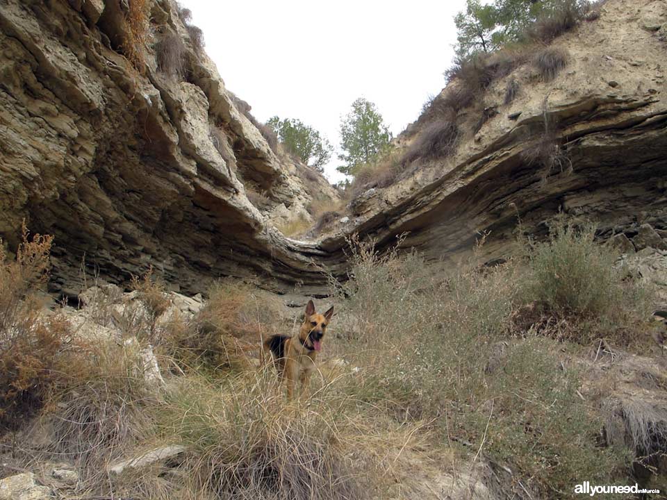 Barranco del Infierno Route. End of Trail