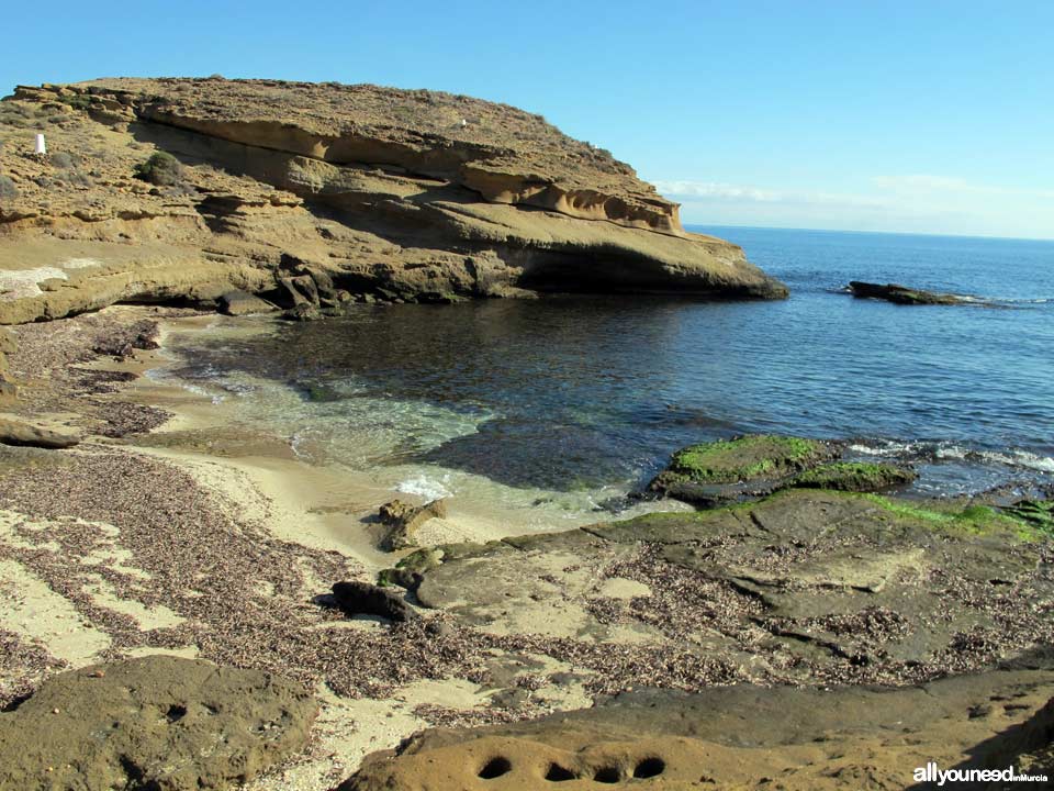 Cala Blanca. Alrededores. Playas de Lorca