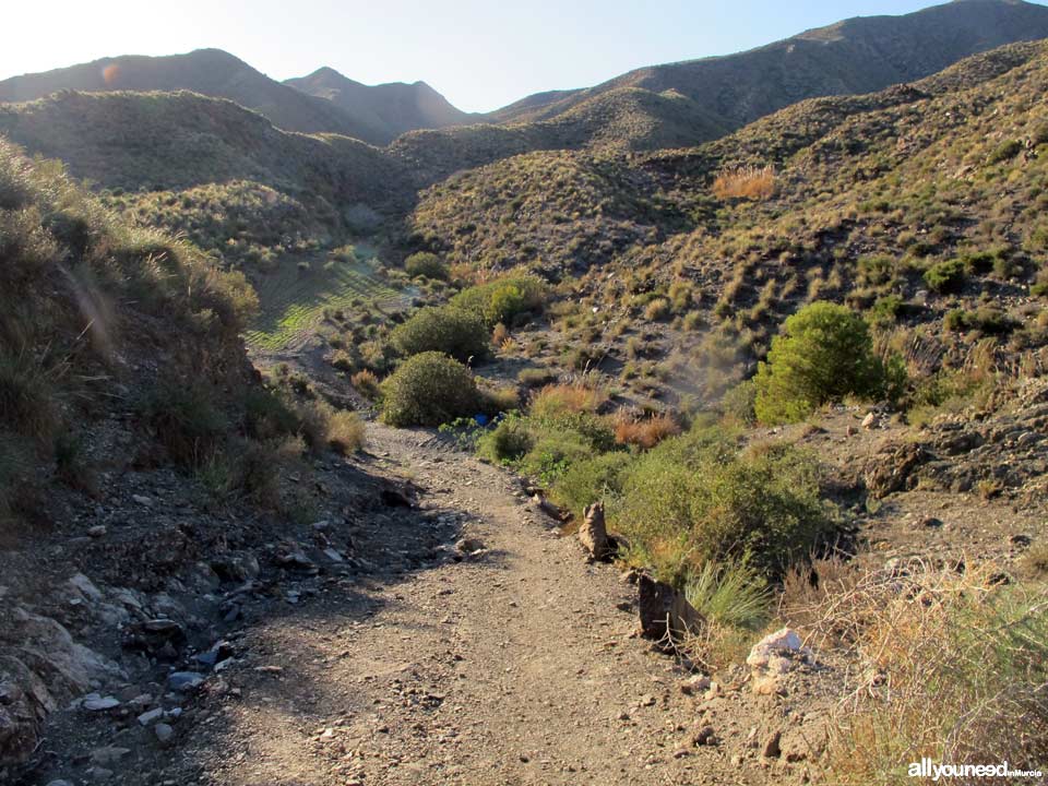 Honda Cove in Lorca