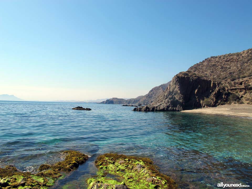 Cala Honda. Playas de Lorca