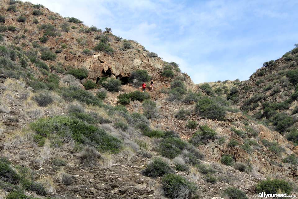 Baja Mar Beach - Ciscar Cove