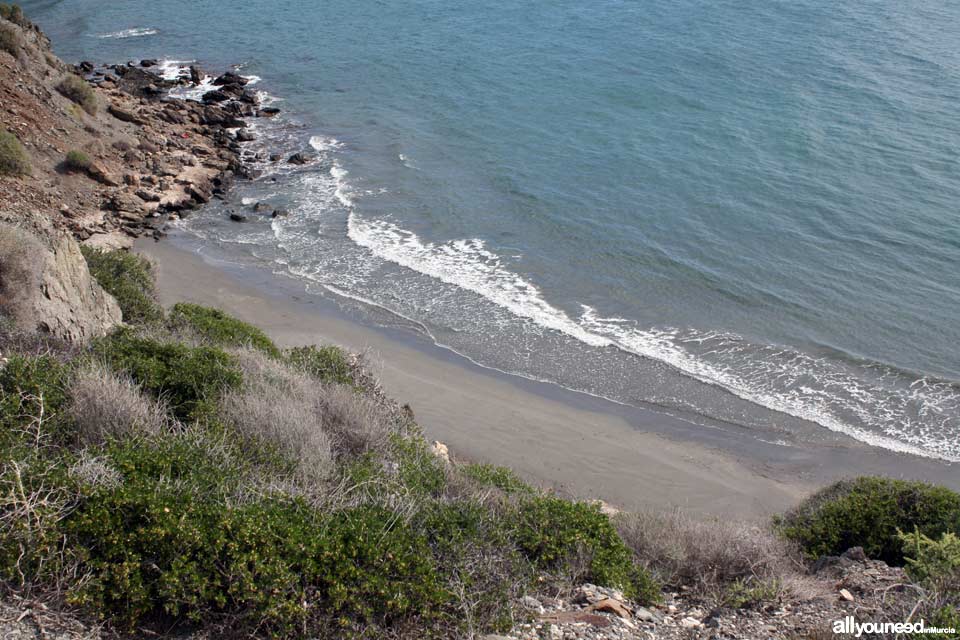 Playa Baja Mar - Cala del Ciscar. Playas de Lorca