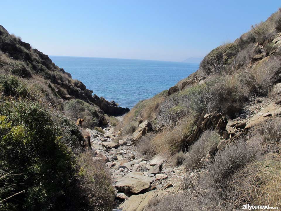 Playa de San Pedro. Playas de Lorca