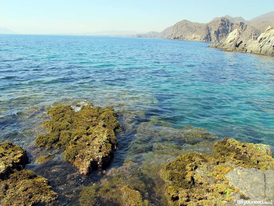 Playa de San Pedro. Playas de Lorca