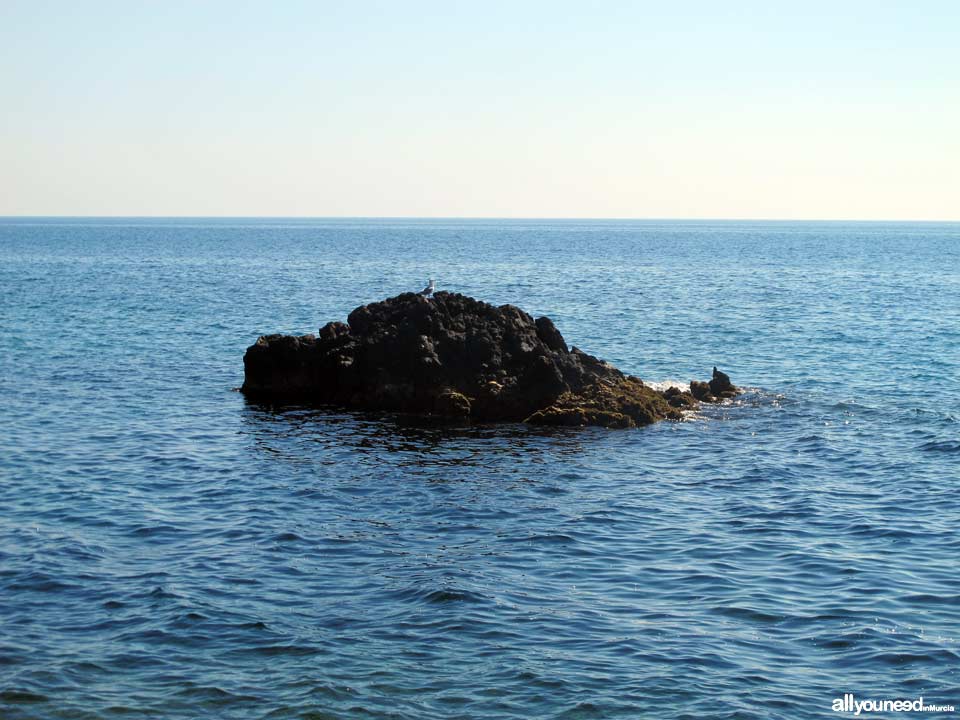 Playa de San Pedro. Playas de Lorca