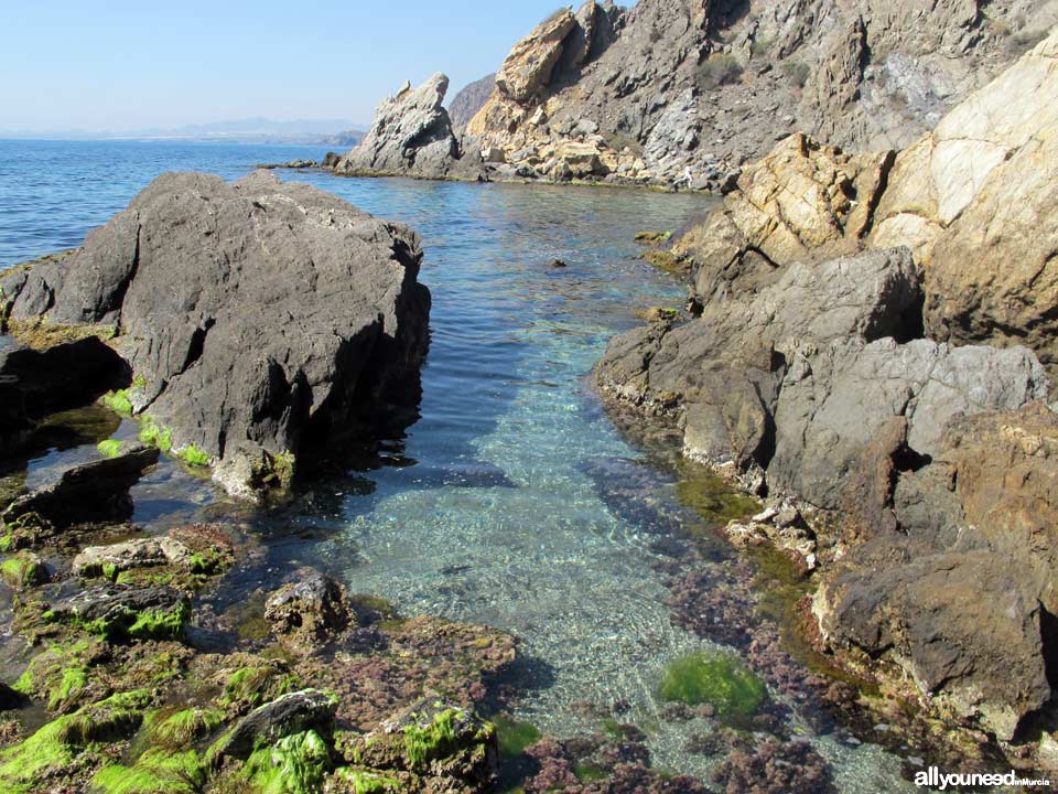 Playa de San Pedro. Playas de Lorca