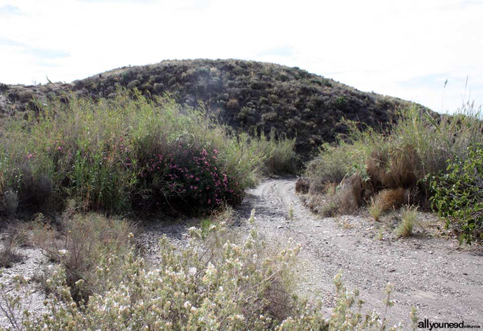 Cala de la Gruta. Playas de Lorca