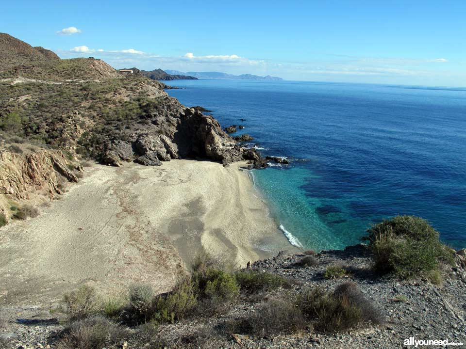 Playa Junquera