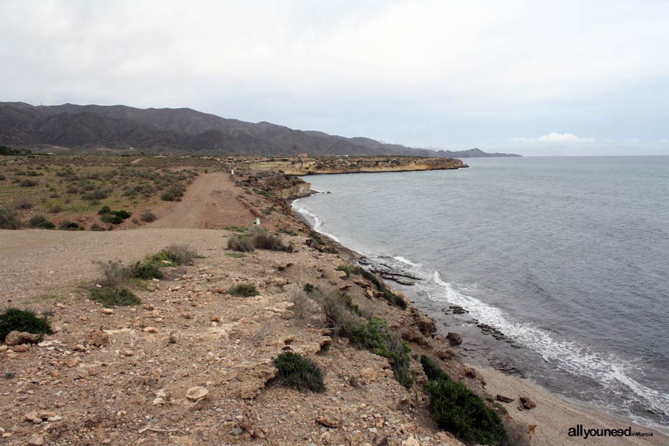 Playa Larga. Playas de Lorca