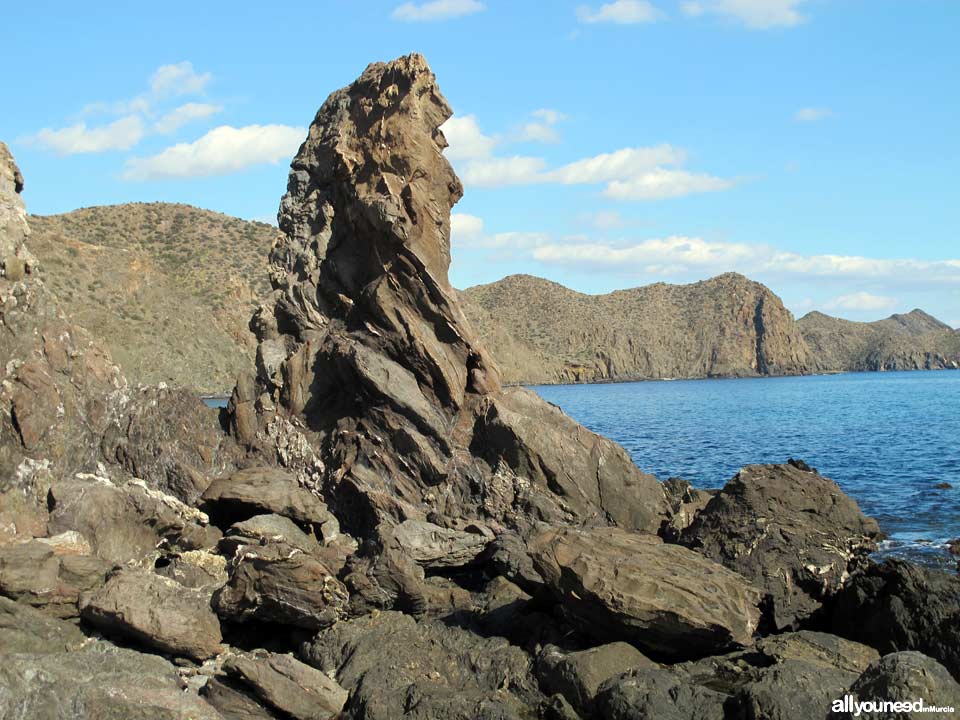 Playa Cuartel del Ciscar - Playa del Pelo. Playas de Lorca