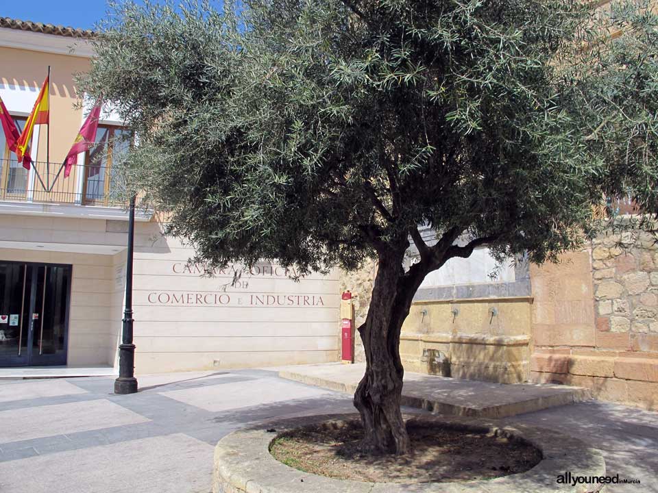 Plaza y Fuente del Caño