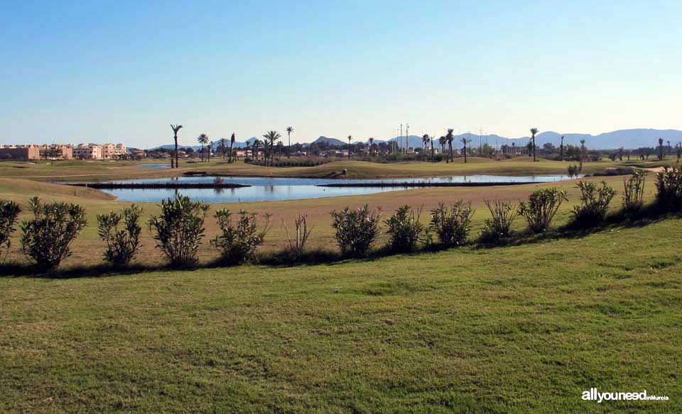 Serena Golf. Los Alcázares