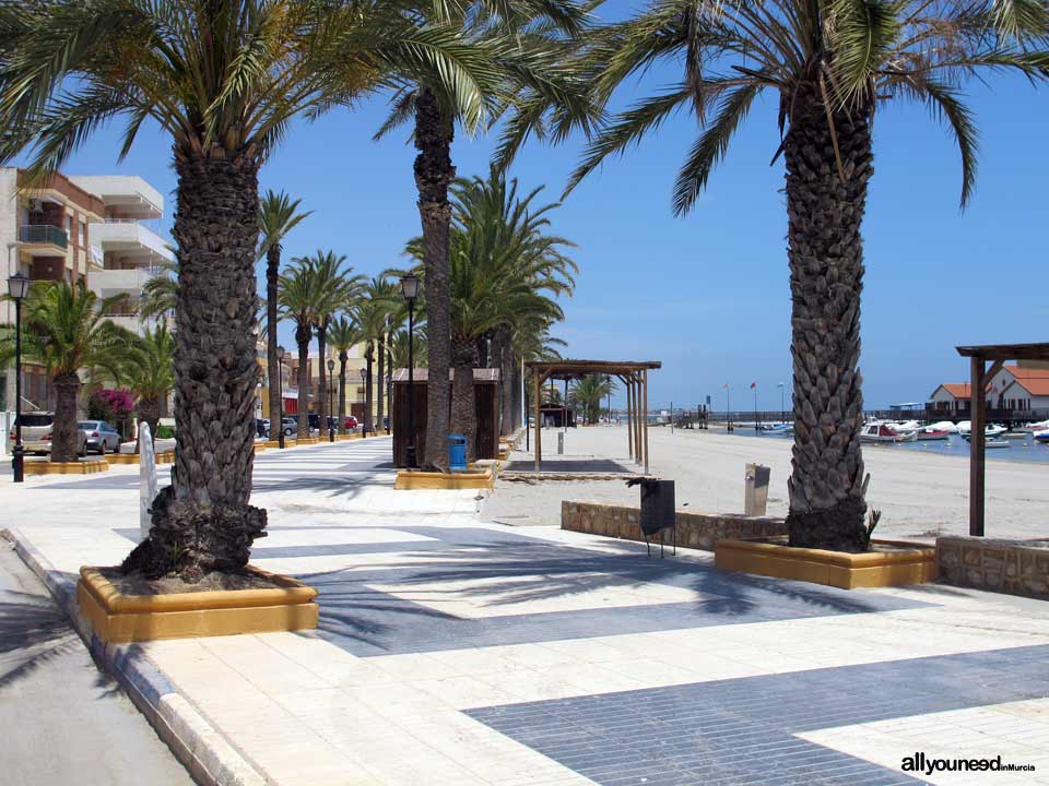 Paseo de la Concha