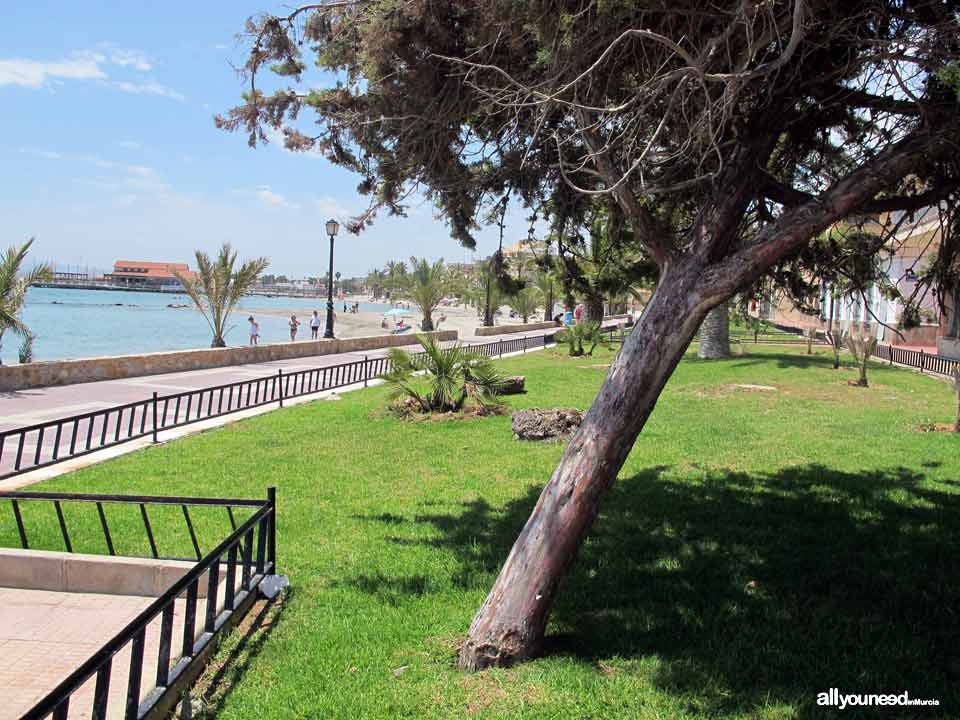 Playa Manzanares en los Alcázares