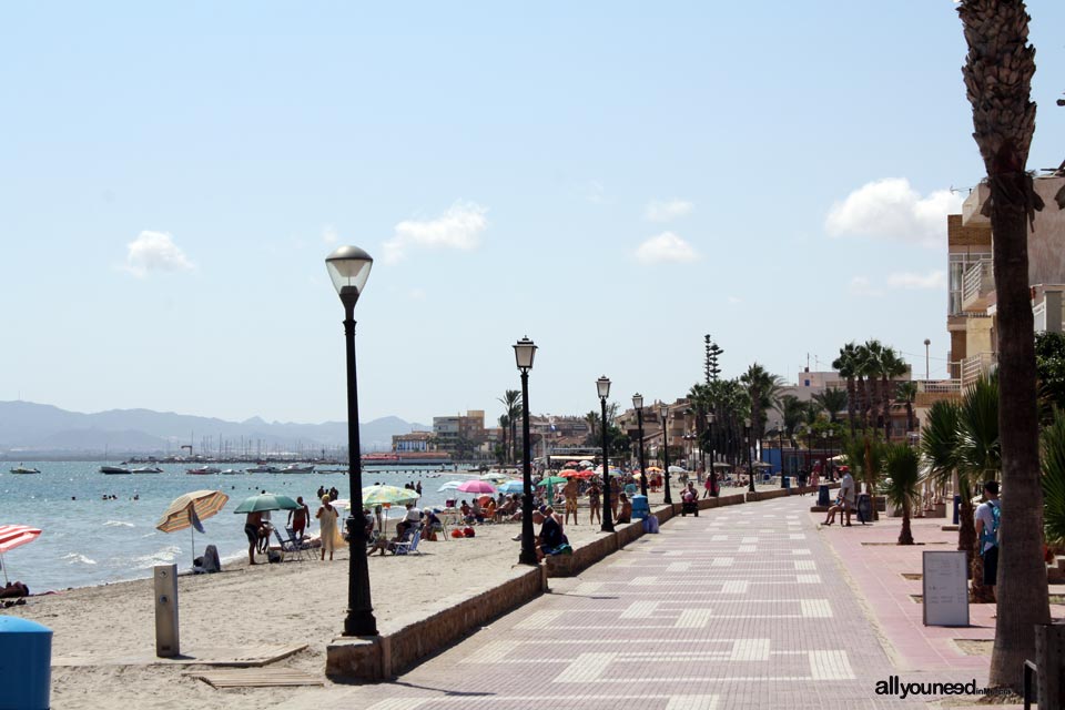 Playa de las Palmeras