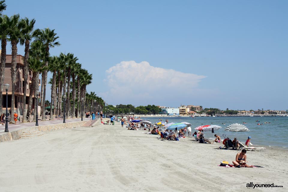 Playa de las Palmeras