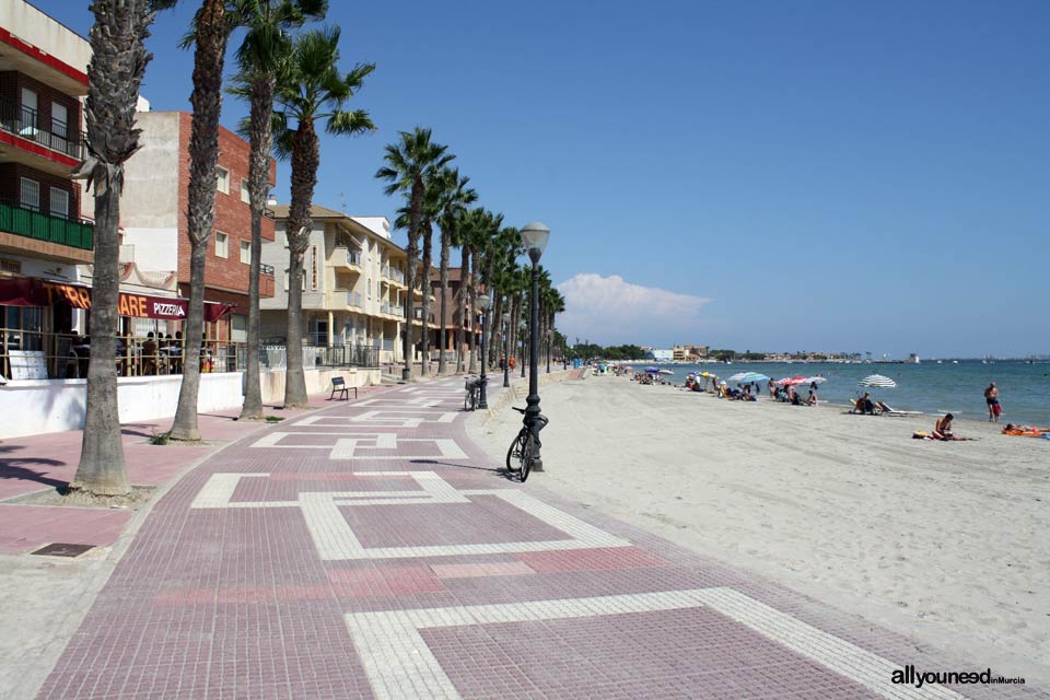 Playa de las Palmeras