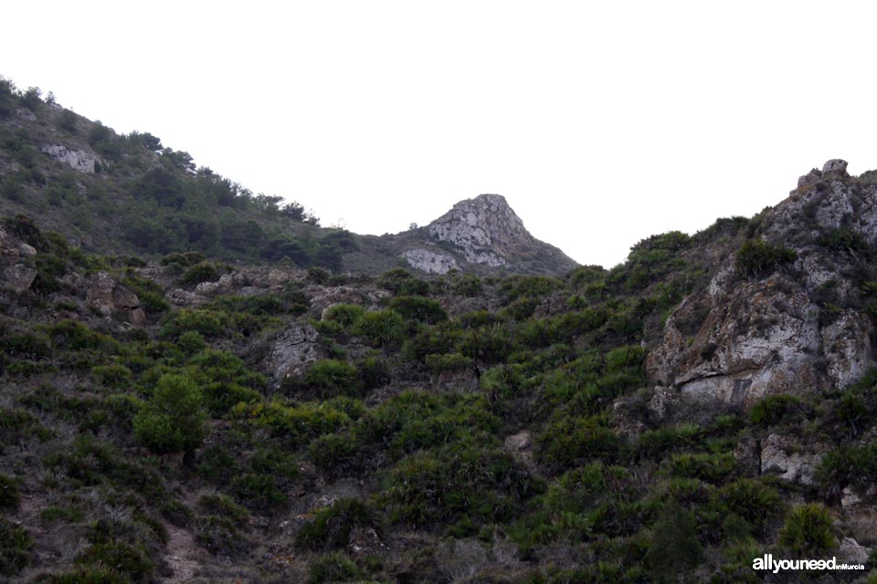 Pico Peña del Águila. Los Belones