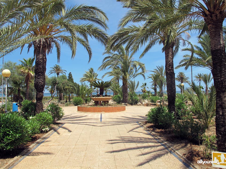 Playa Estrella de Mar / Perla de Levante