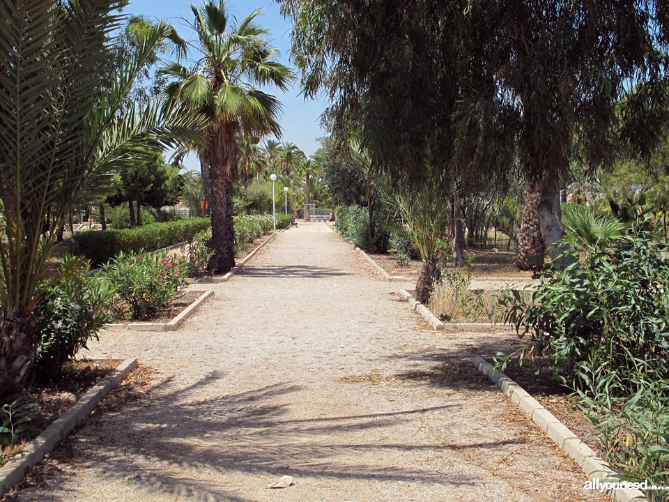 Starfish beach /  Levante Pearl Beach