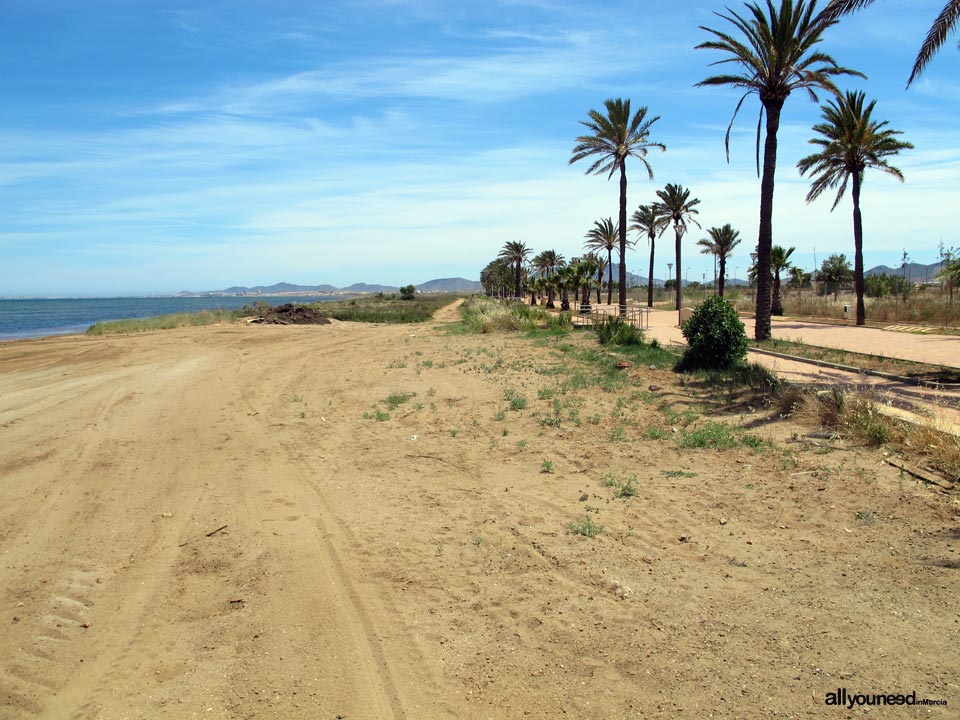 Starfish beach /  Levante Pearl Beach