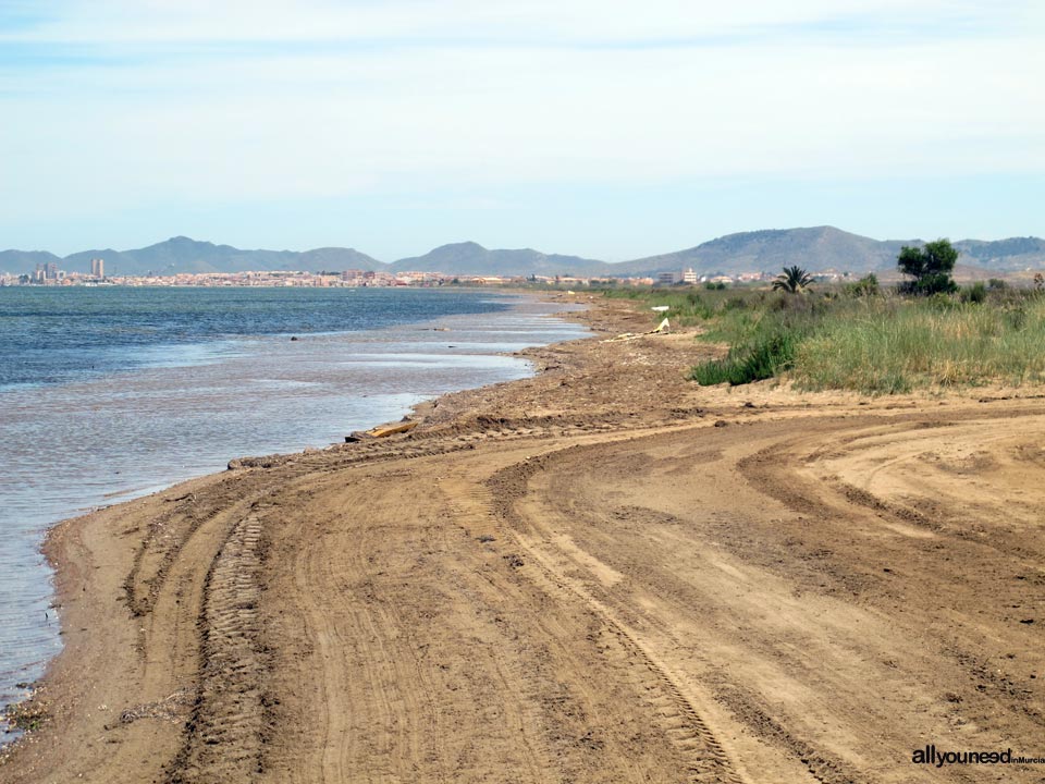 Starfish beach /  Levante Pearl Beach