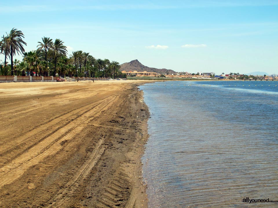 Starfish beach /  Levante Pearl Beach