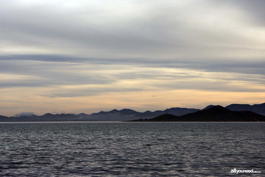 Barón Island in Mar Menor