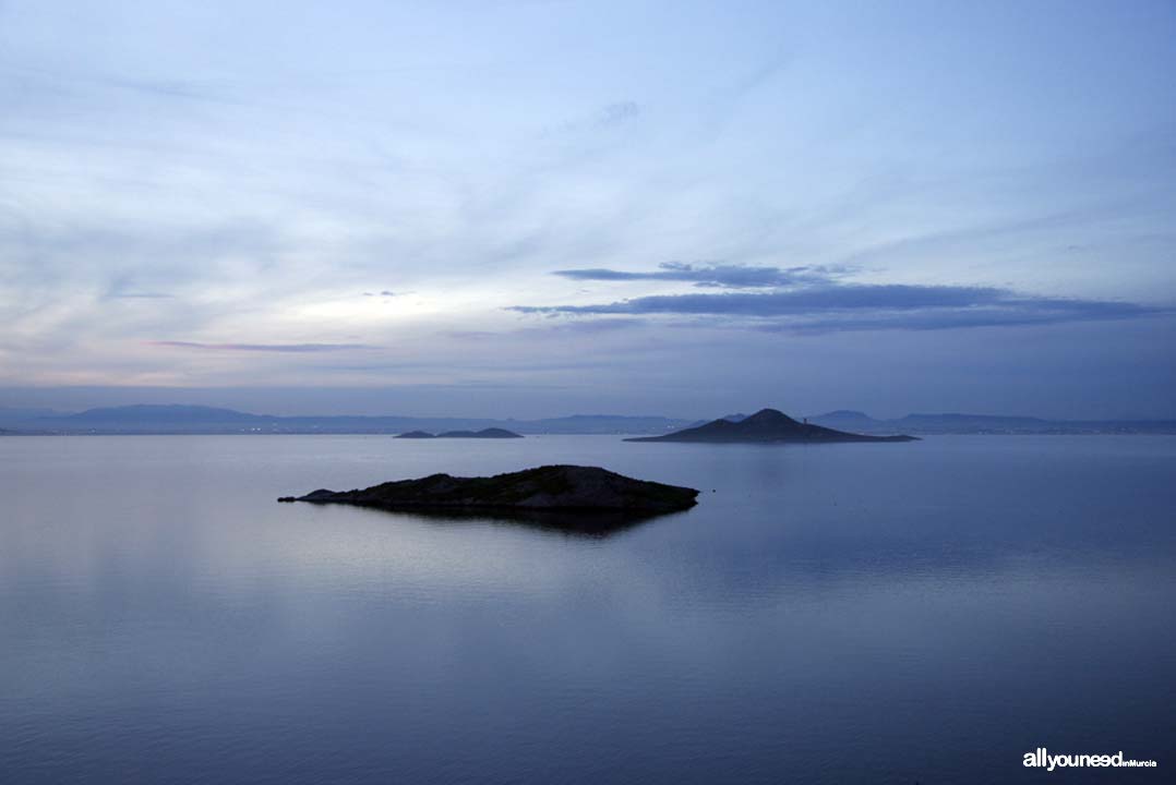 Islas Sujeto, Barón y Perdiguera en el Mar Menor