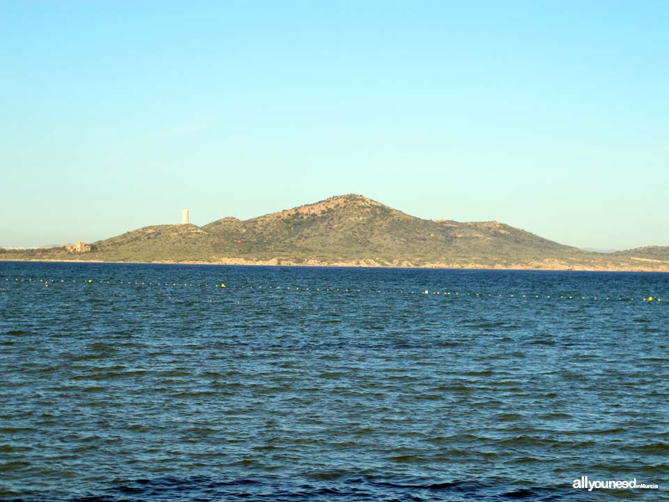 Barón Island in Mar Menor