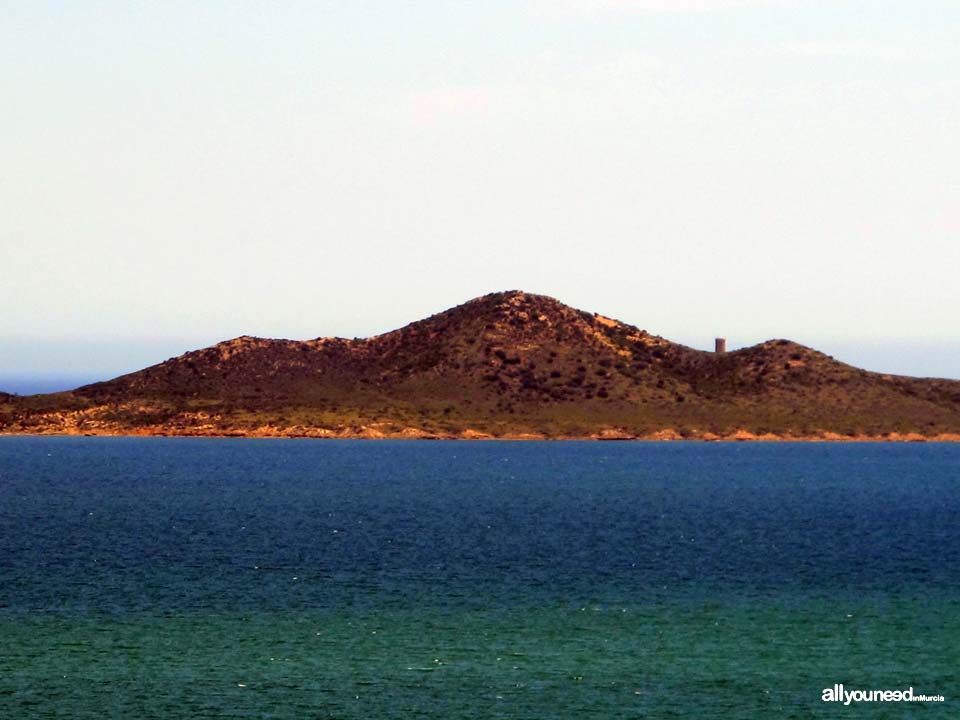 Barón Island in Mar Menor