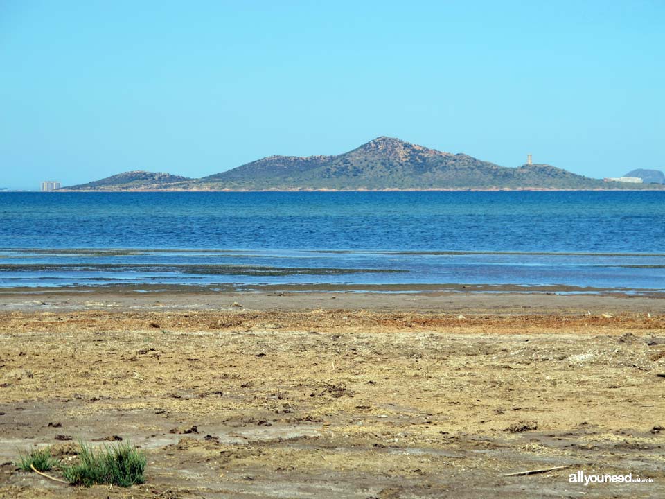 Barón Island in Mar Menor