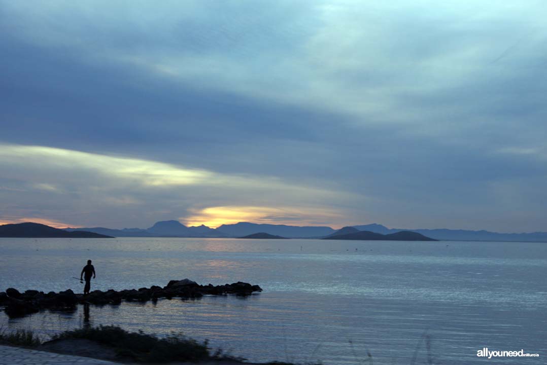 Perdiguera Island