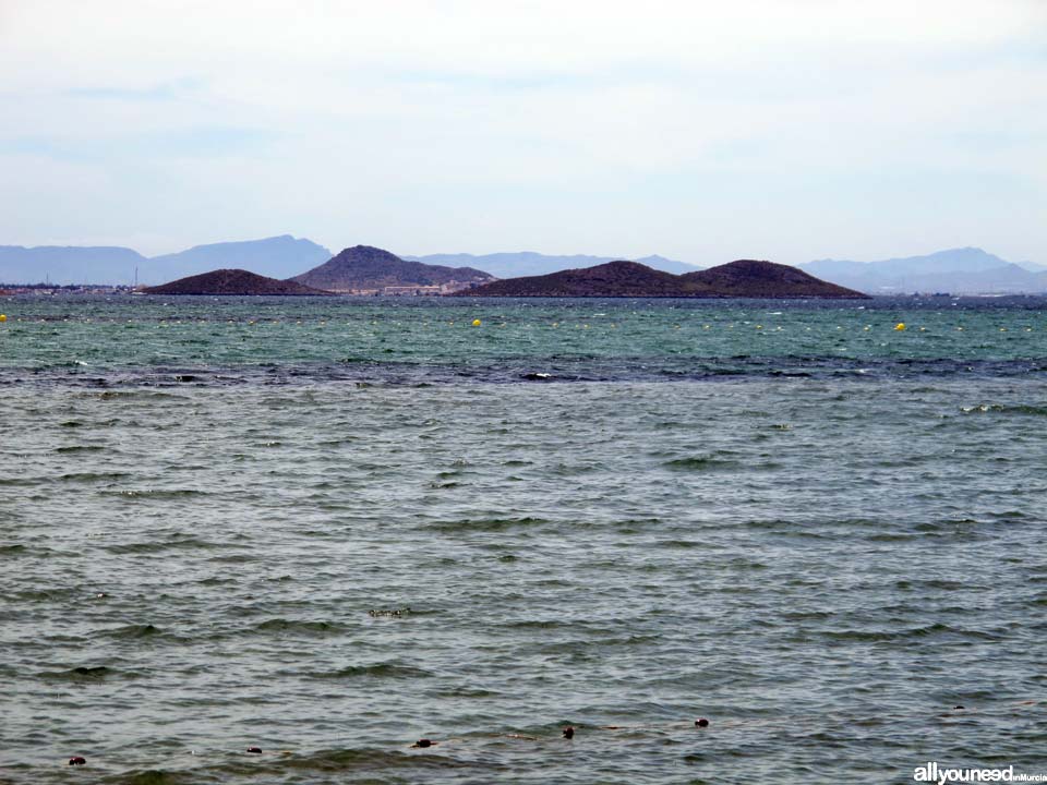 Perdiguera Island in Mar Menor