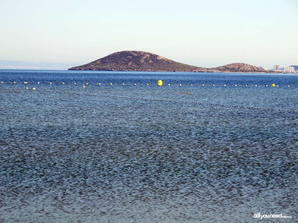 Isla Perdiguera en el Mar Menor