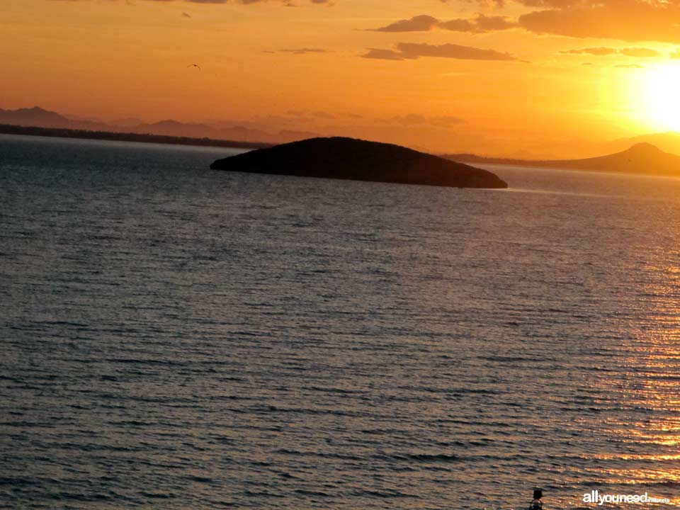 Isla Rondella en el Mar Menor