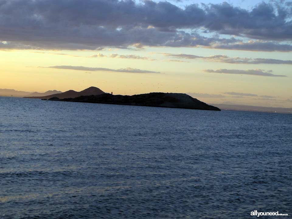 Isla del Sujeto en el Mar Menor
