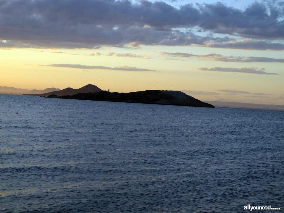 Isla del Sujeto en el Mar Menor