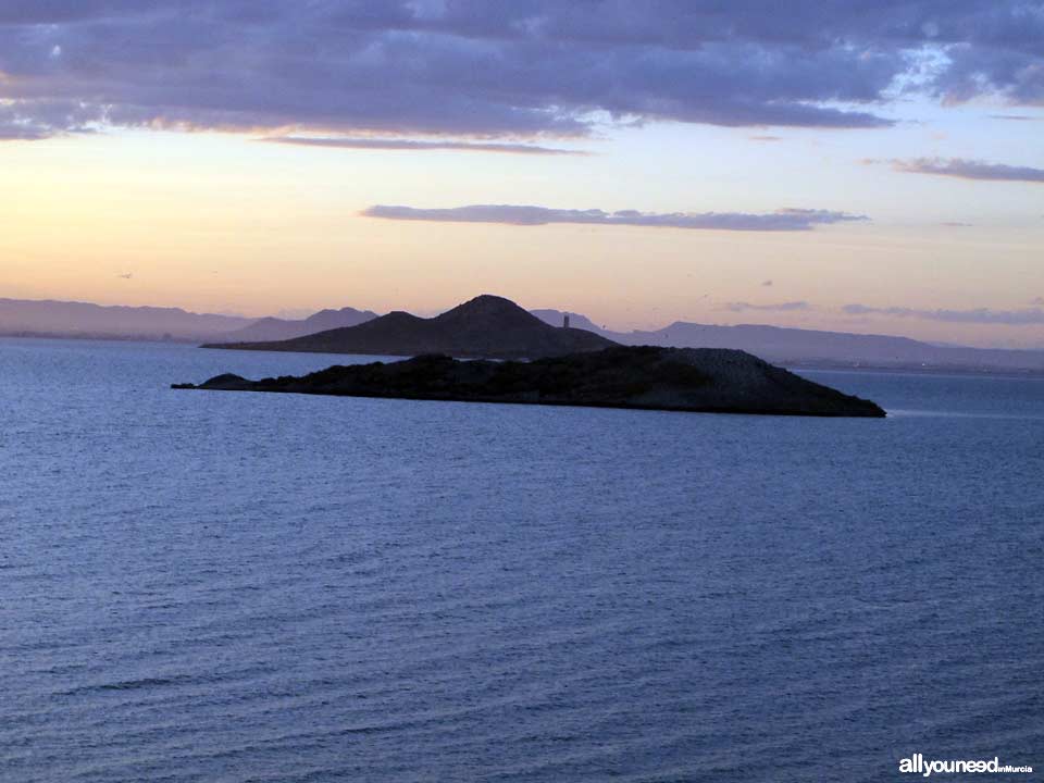 Isla del Sujeto en el Mar Menor