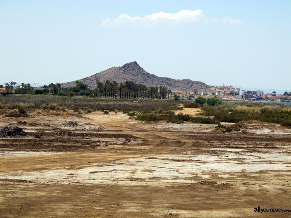 Salinas de Lo Poyo