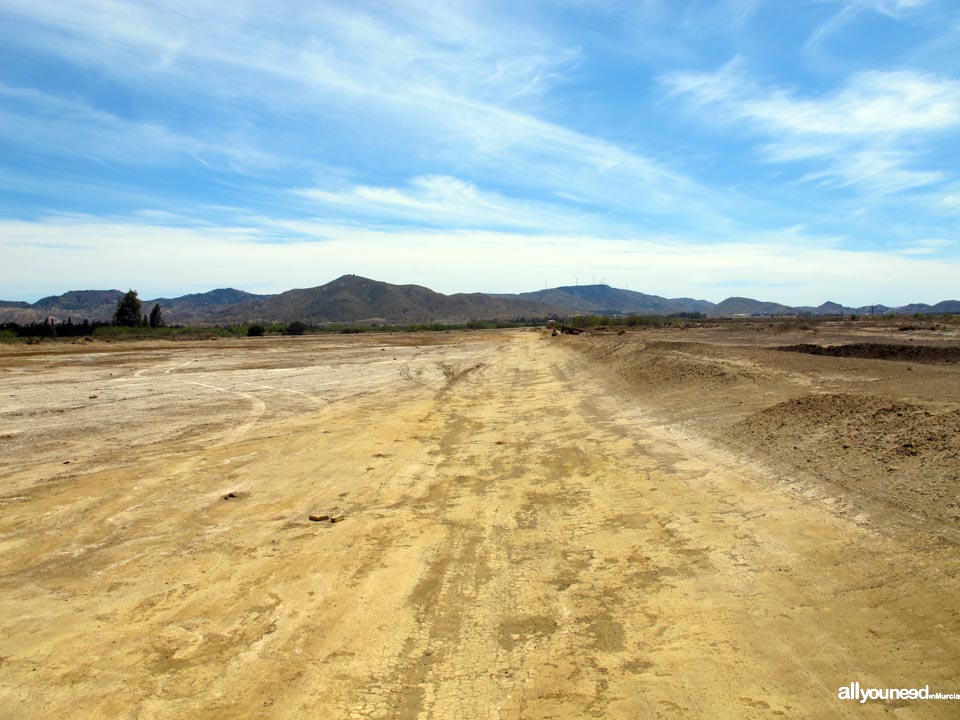 Salinas de Lo Poyo