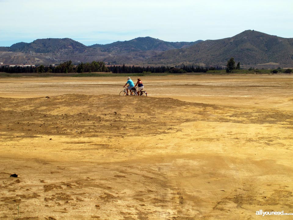 Salinas de Lo Poyo