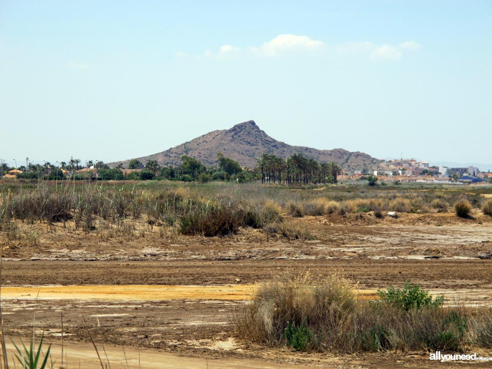 Salinas de Lo Poyo