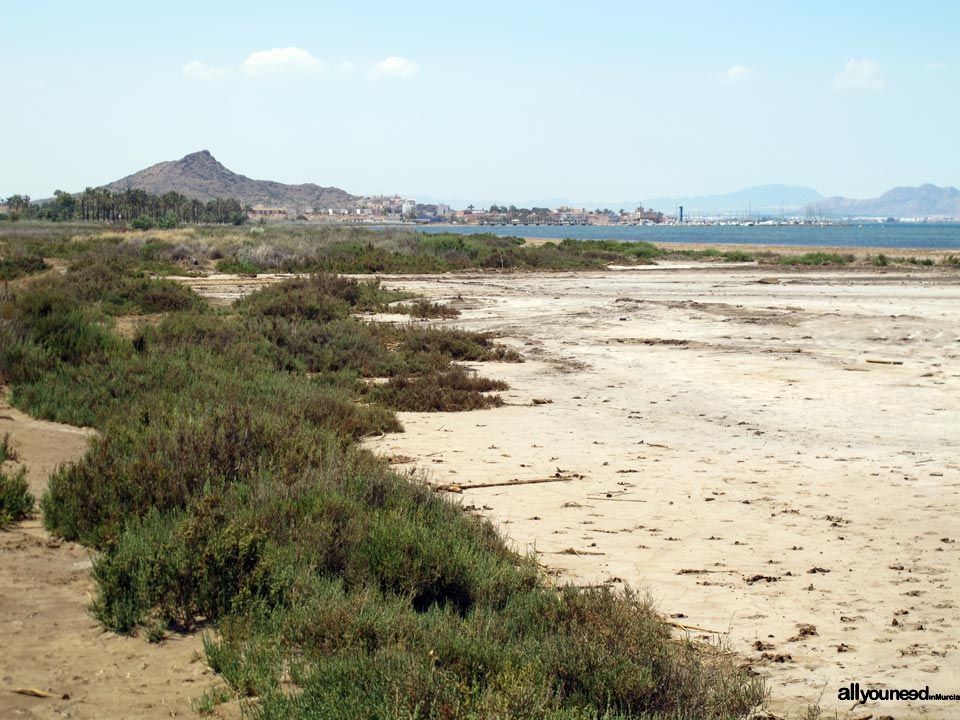 El Saladar de lo Poyo y el Cabezo del Carmolí al fondo. Espacios abiertos e islas del Mar Menor