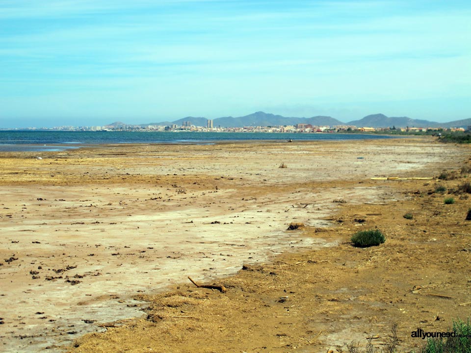 Salinas de Lo Poyo