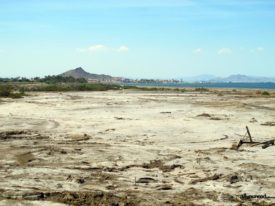 Salinas de Lo Poyo