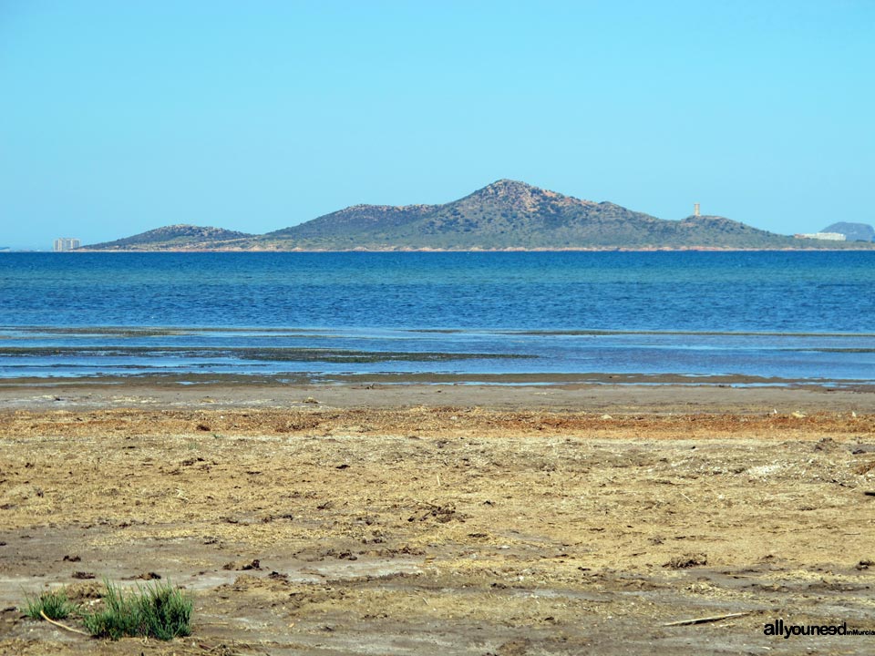 Salinas de Lo Poyo