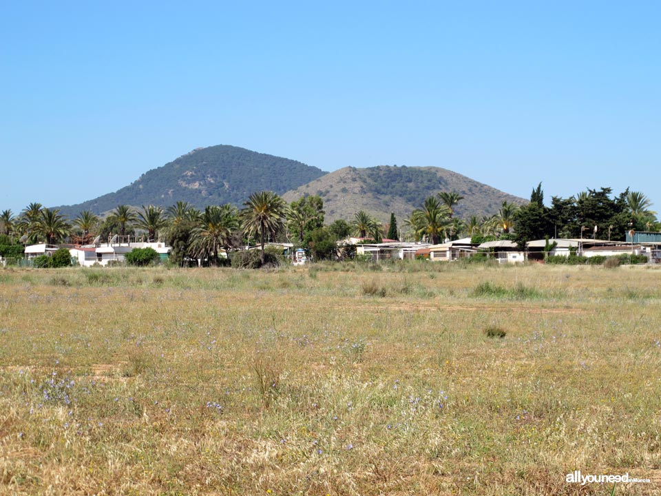 Playa Loma del Castillico