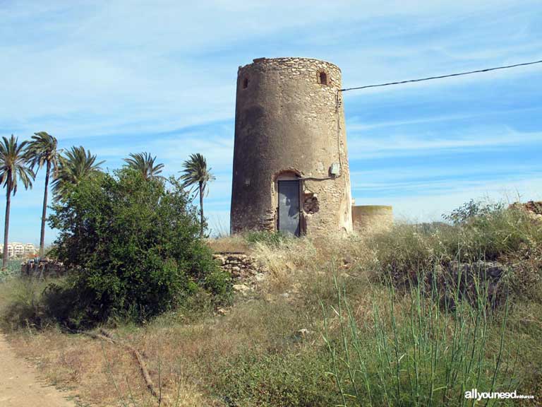 Playa Los Nietos